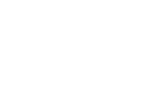 Plan S